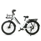 SameBike Stellar [RS A01] _ 750W 48V 14Ah